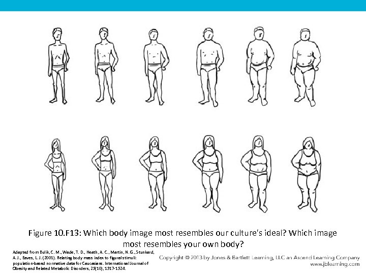 Figure 10. F 13: Which body image most resembles our culture's ideal? Which image
