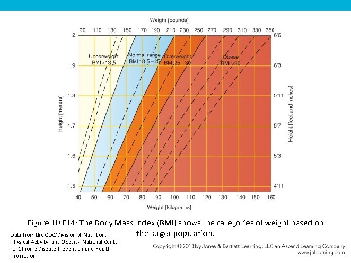 Figure 10. F 14: The Body Mass Index (BMI) shows the categories of weight
