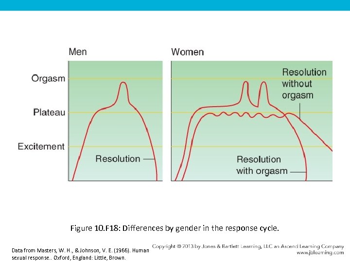 Figure 10. F 18: Differences by gender in the response cycle. Data from Masters,