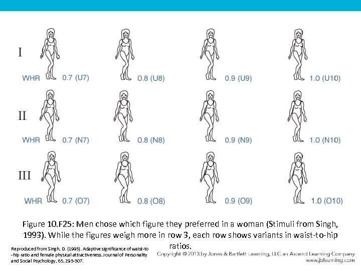 Figure 10. F 25: Men chose which figure they preferred in a woman (Stimuli