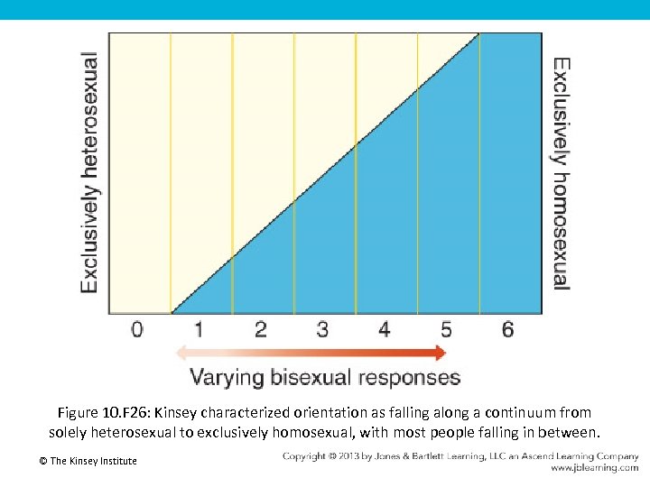 Figure 10. F 26: Kinsey characterized orientation as falling along a continuum from solely
