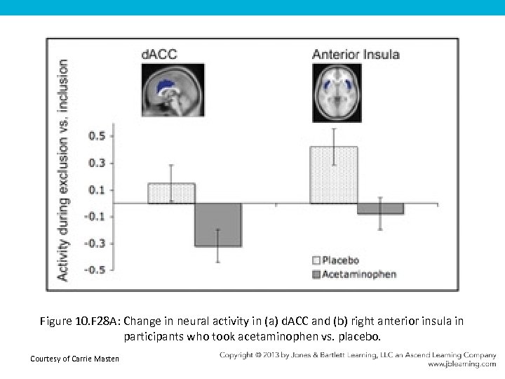 Figure 10. F 28 A: Change in neural activity in (a) d. ACC and