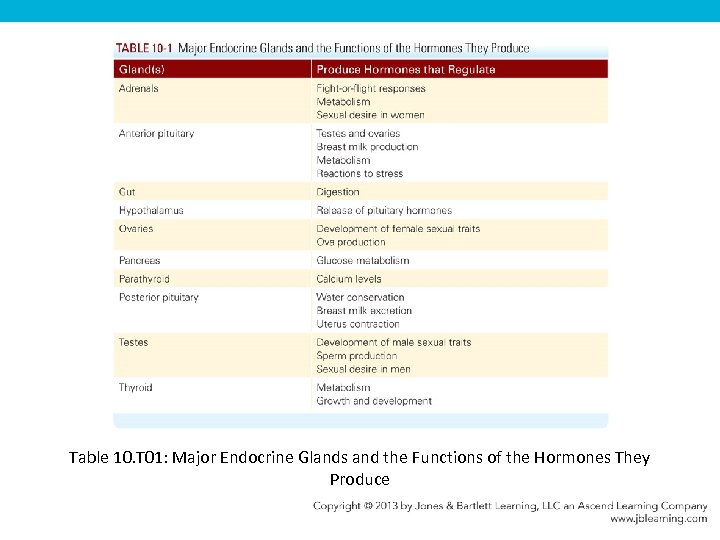 Table 10. T 01: Major Endocrine Glands and the Functions of the Hormones They