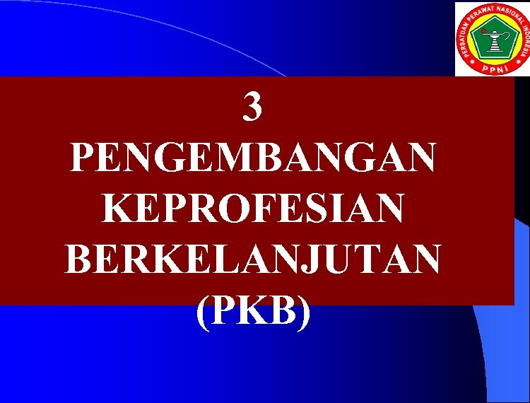 3 PENGEMBANGAN KEPROFESIAN BERKELANJUTAN (PKB) 