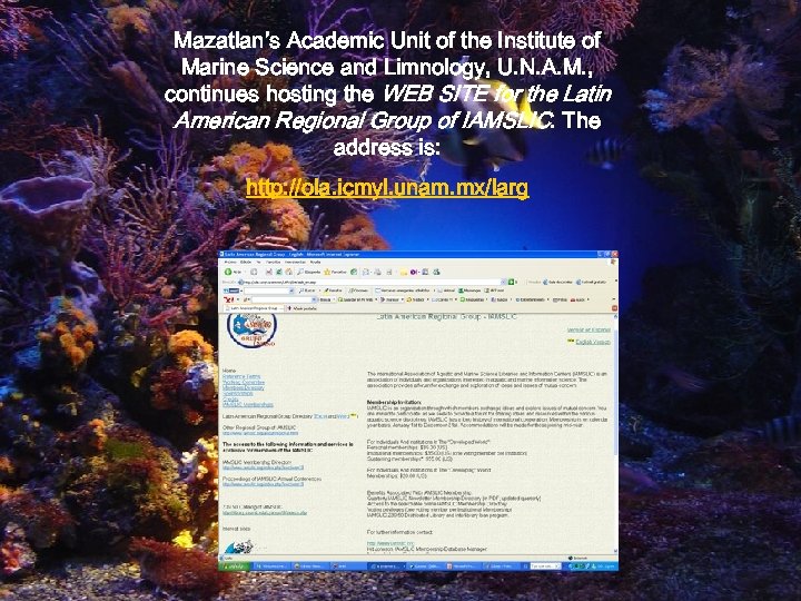 Mazatlan’s Academic Unit of the Institute of Marine Science and Limnology, U. N. A.