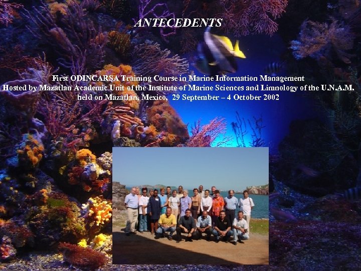 ANTECEDENTS First ODINCARSA Training Course in Marine Information Management Hosted by Mazatlan Academic Unit