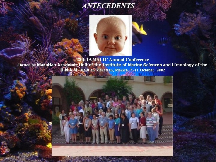 ANTECEDENTS 28 th IAMSLIC Annual Conference Hosted by Mazatlan Academic Unit of the Institute