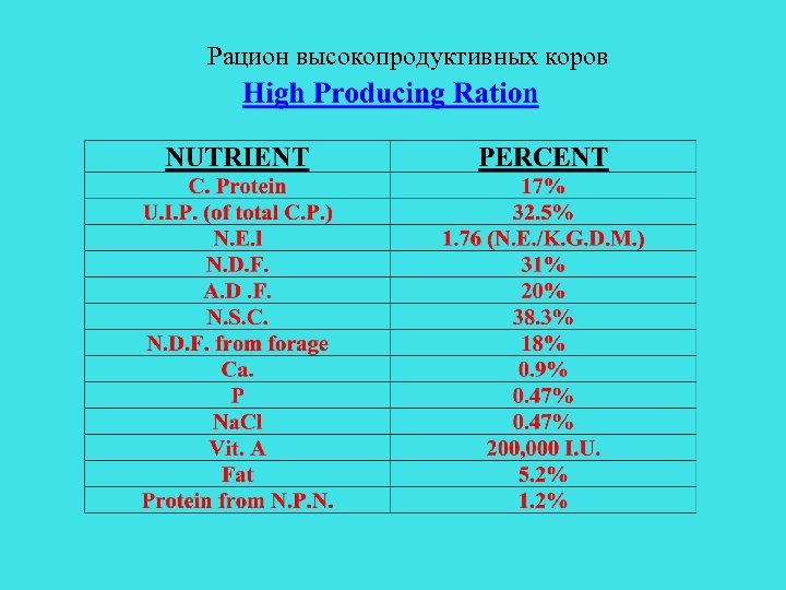 Рацион высокопродуктивных коров 