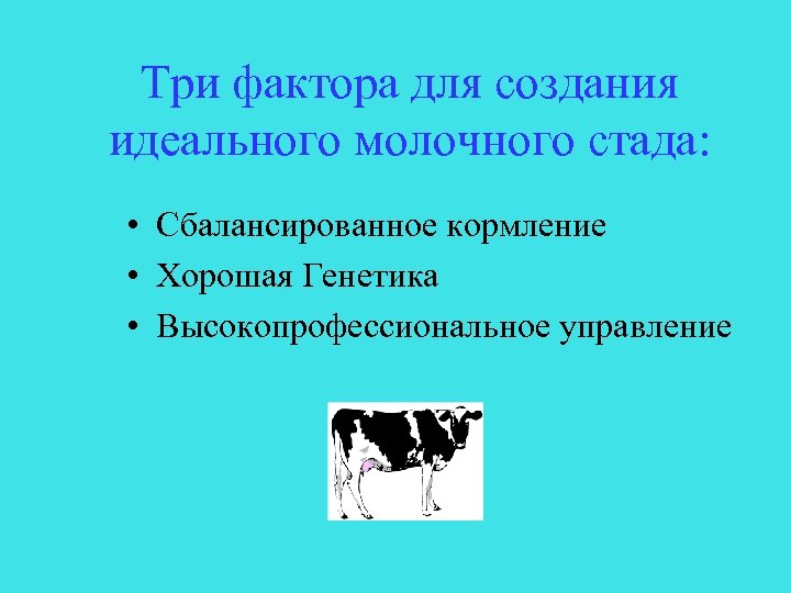 Три фактора для создания идеального молочного стада: • Сбалансированное кормление • Хорошая Генетика •