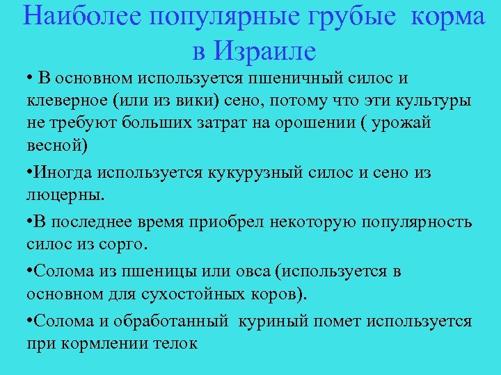 Наиболее популярные грубые корма в Израиле • В основном используется пшеничный силос и клеверное