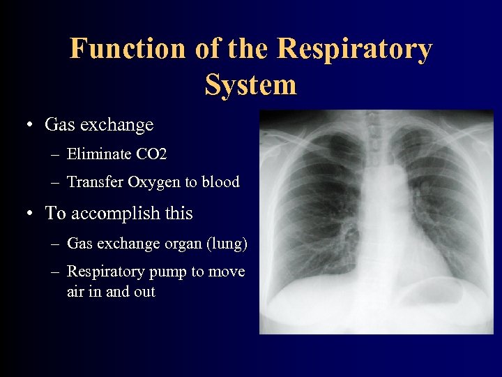 Function of the Respiratory System • Gas exchange – Eliminate CO 2 – Transfer