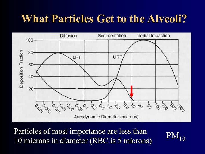What Particles Get to the Alveoli? Particles of most importance are less than 10