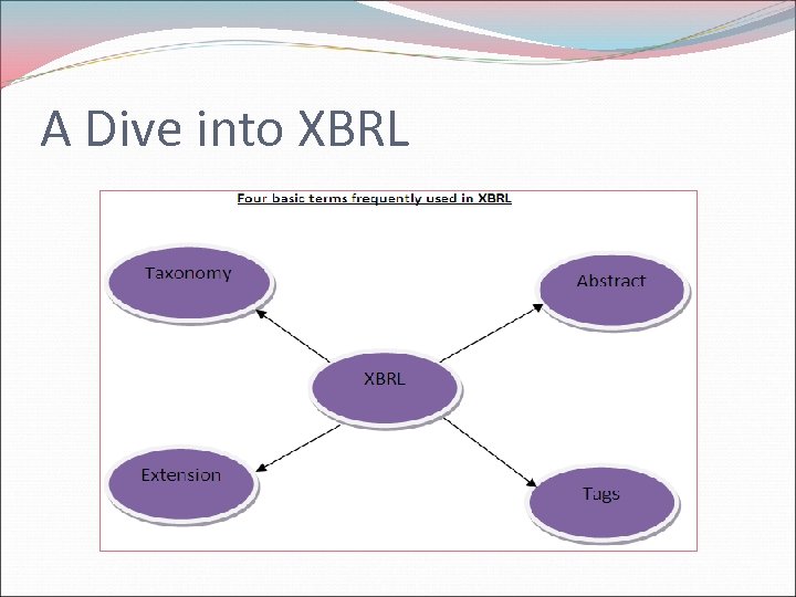 A Dive into XBRL 