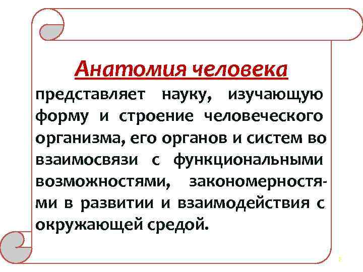  Анатомия человека представляет науку, изучающую форму и строение человеческого организма, его органов и