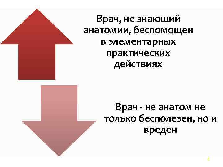  Врач, не знающий анатомии, беспомощен в элементарных практических действиях Врач - не анатом