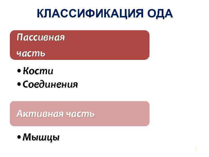  КЛАССИФИКАЦИЯ ОДА Пассивная часть • Кости • Соединения Активная часть • Мышцы 7