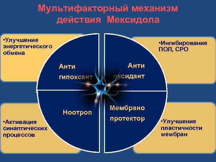  Мультифакторный механизм действия Мексидола • Улучшение • Ингибирование энергетического ПОЛ, СРО обмена Анти