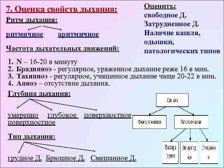7. Оценка свойств дыхания:   Оценить:     свободное Д. Ритм