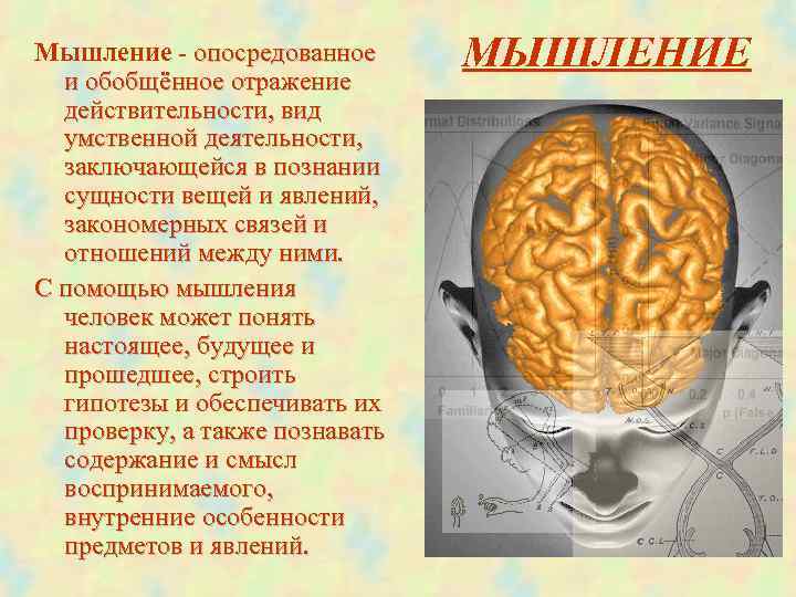 Мышление - опосредованное МЫШЛЕНИЕ и обобщённое отражение действительности, вид умственной деятельности, заключающейся в познании