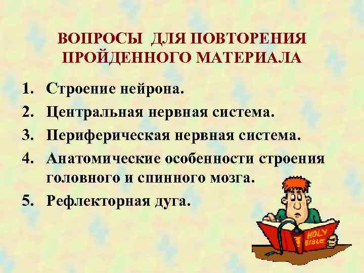  ВОПРОСЫ ДЛЯ ПОВТОРЕНИЯ ПРОЙДЕННОГО МАТЕРИАЛА 1. Строение нейрона. 2. Центральная нервная система. 3.