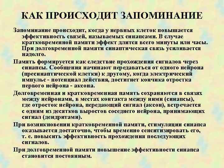  КАК ПРОИСХОДИТ ЗАПОМИНАНИЕ Запоминание происходит, когда у нервных клеток повышается эффективность связей, называемых