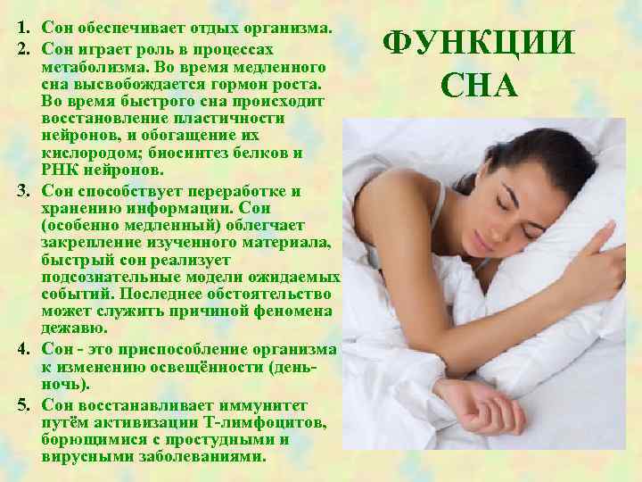 1. Сон обеспечивает отдых организма. 2. Сон играет роль в процессах ФУНКЦИИ метаболизма. Во