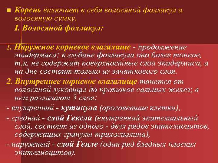 n Корень включает в себя волосяной фолликул и волосяную сумку. I. Волосяной фолликул: 1.