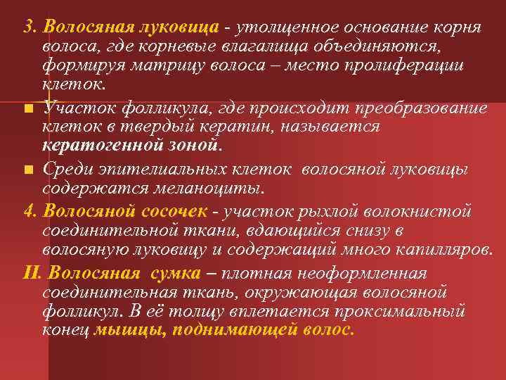 3. Волосяная луковица - утолщенное основание корня волоса, где корневые влагалища объединяются, формируя матрицу