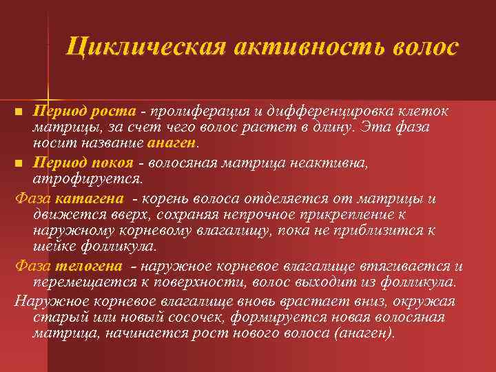  Циклическая активность волос n Период роста - пролиферация и дифференцировка клеток матрицы, за