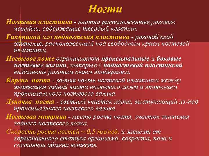  Ногти Ногтевая пластинка - плотно расположенные роговые чешуйки, содержащие твердый кератин. Гипонихий или