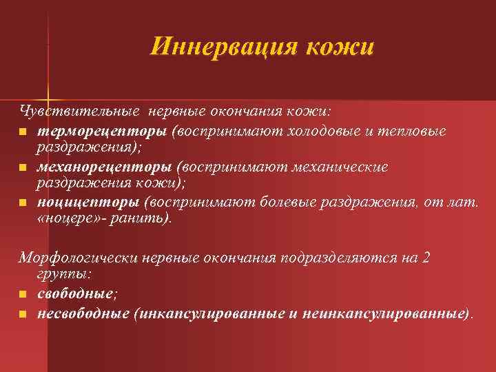  Иннервация кожи Чувствительные нервные окончания кожи: n терморецепторы (воспринимают холодовые и тепловые раздражения);