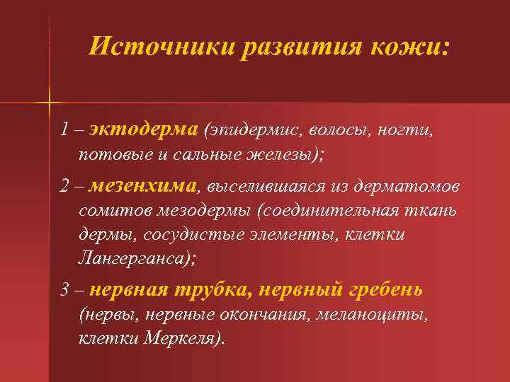  Источники развития кожи: 1 – эктодерма (эпидермис, волосы, ногти, потовые и сальные железы);