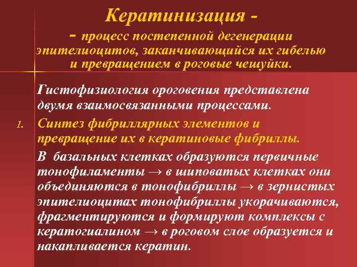  Кератинизация - - процесс постепенной дегенерации эпителиоцитов, заканчивающийся их гибелью и превращением в