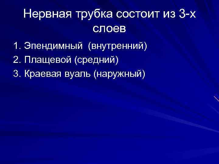  Нервная трубка состоит из 3 -х слоев 1. Эпендимный (внутренний) 2. Плащевой (средний)