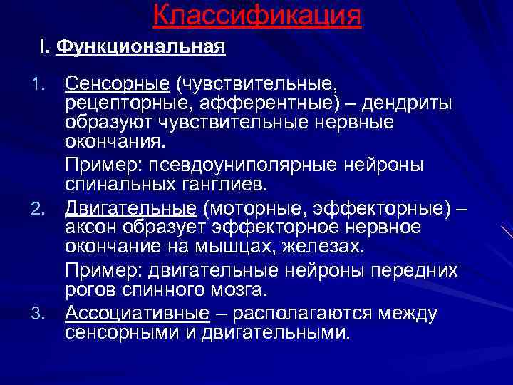  Классификация I. Функциональная 1. Сенсорные (чувствительные, рецепторные, афферентные) – дендриты образуют чувствительные нервные