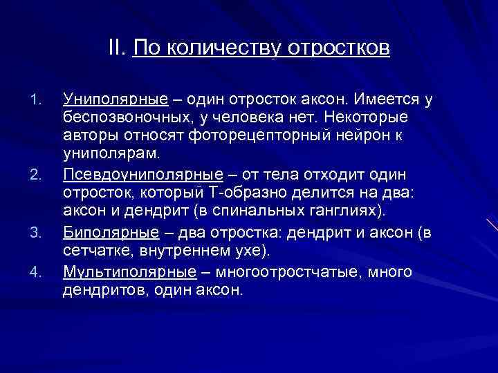  II. По количеству отростков 1. Униполярные – один отросток аксон. Имеется у беспозвоночных,