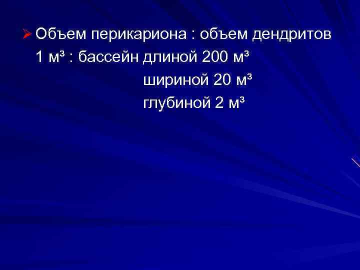 Ø Объем перикариона : объем дендритов 1 м³ : бассейн длиной 200 м³ шириной