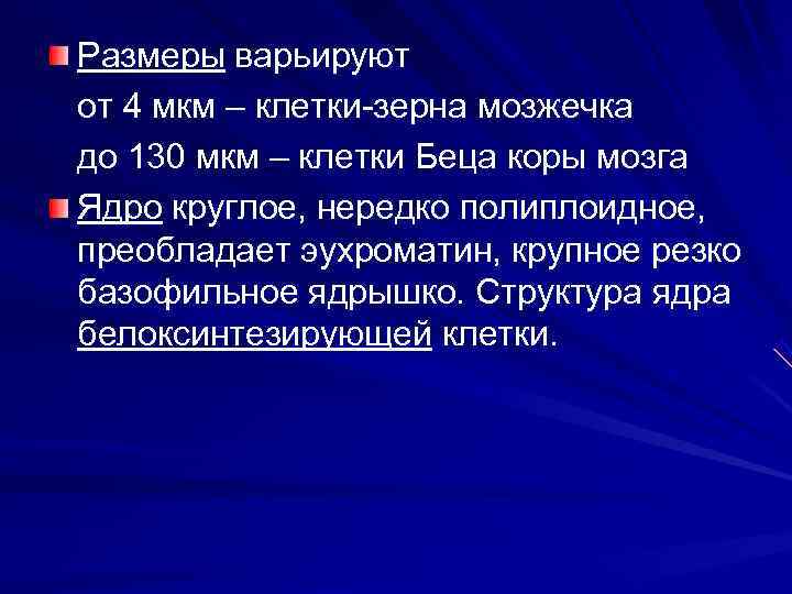 Размеры варьируют от 4 мкм – клетки-зерна мозжечка до 130 мкм – клетки Беца