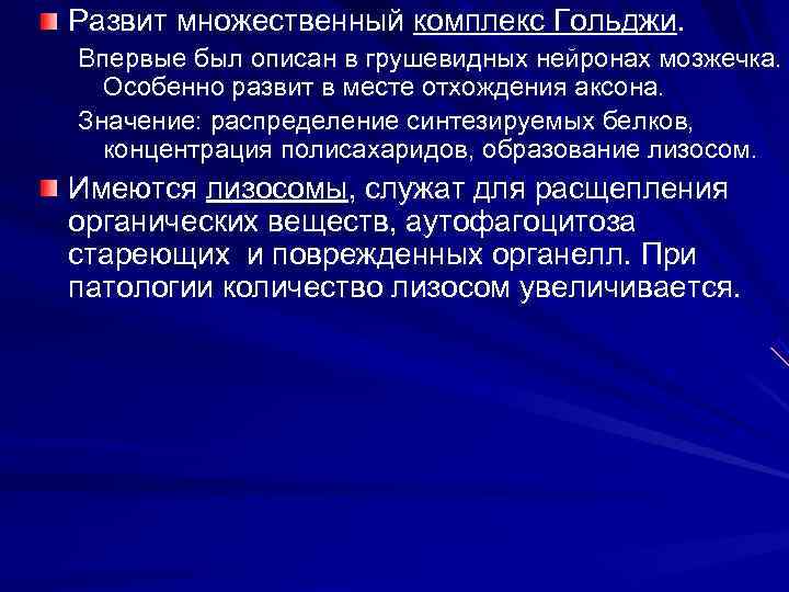 Развит множественный комплекс Гольджи. Впервые был описан в грушевидных нейронах мозжечка. Особенно развит в