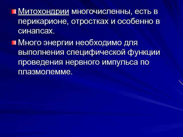 Митохондрии многочисленны, есть в перикарионе, отростках и особенно в синапсах. Много энергии необходимо для