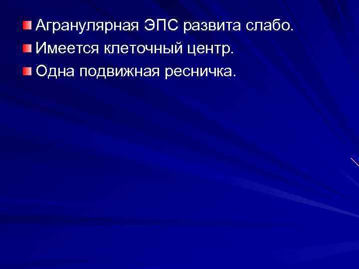 Агранулярная ЭПС развита слабо. Имеется клеточный центр. Одна подвижная ресничка. 