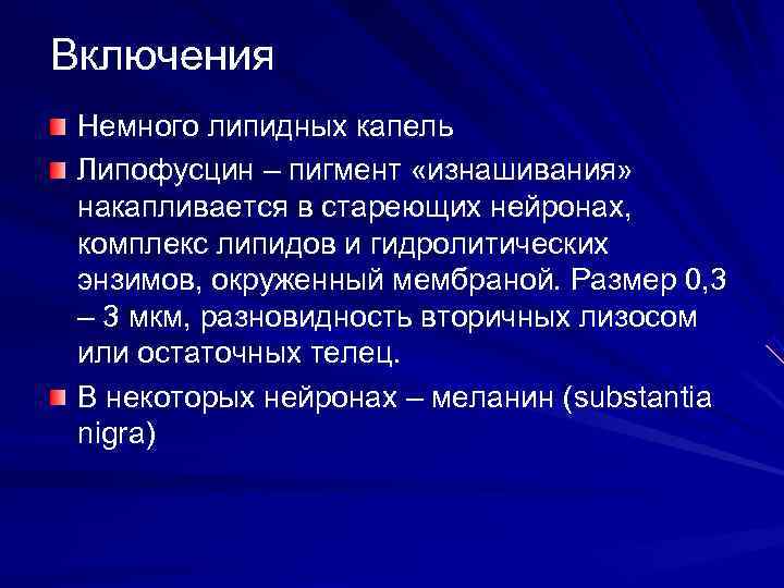 Включения Немного липидных капель Липофусцин – пигмент «изнашивания» накапливается в стареющих нейронах, комплекс липидов