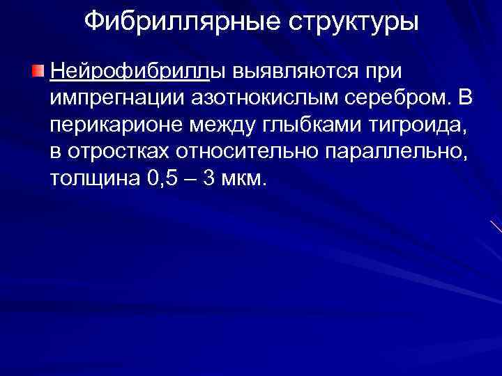  Фибриллярные структуры Нейрофибриллы выявляются при импрегнации азотнокислым серебром. В перикарионе между глыбками тигроида,