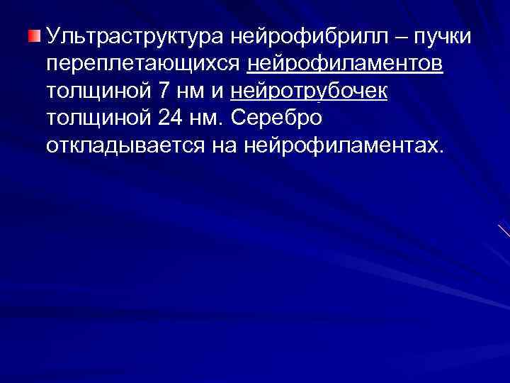 Ультраструктура нейрофибрилл – пучки переплетающихся нейрофиламентов толщиной 7 нм и нейротрубочек толщиной 24 нм.