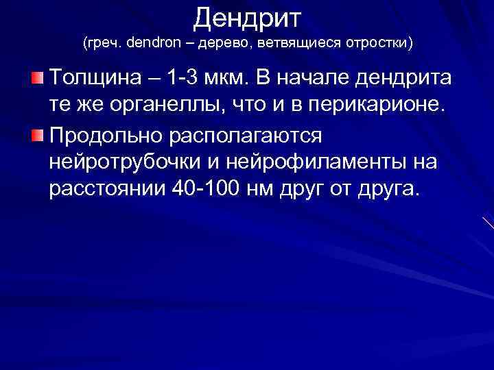  Дендрит (греч. dendron – дерево, ветвящиеся отростки) Толщина – 1 -3 мкм. В