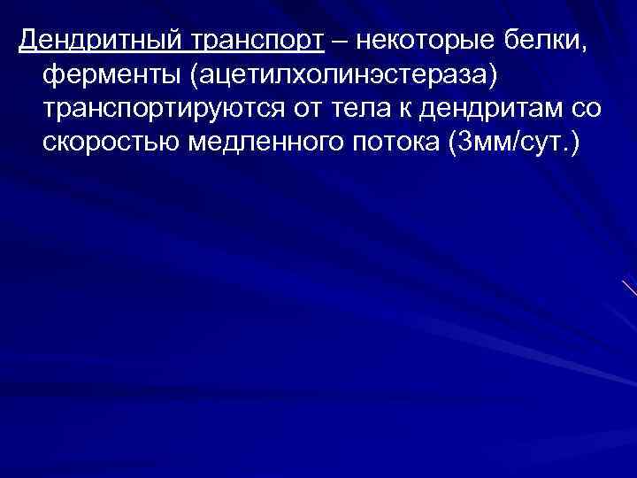 Дендритный транспорт – некоторые белки, ферменты (ацетилхолинэстераза) транспортируются от тела к дендритам со скоростью