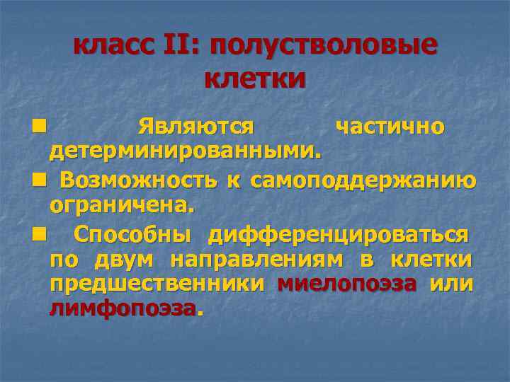  класс II: полустволовые клетки n Являются частично детерминированными. n Возможность к самоподдержанию ограничена.