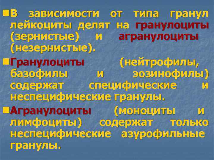 n. В зависимости от типа гранул лейкоциты делят на гранулоциты (зернистые) и агранулоциты (незернистые).