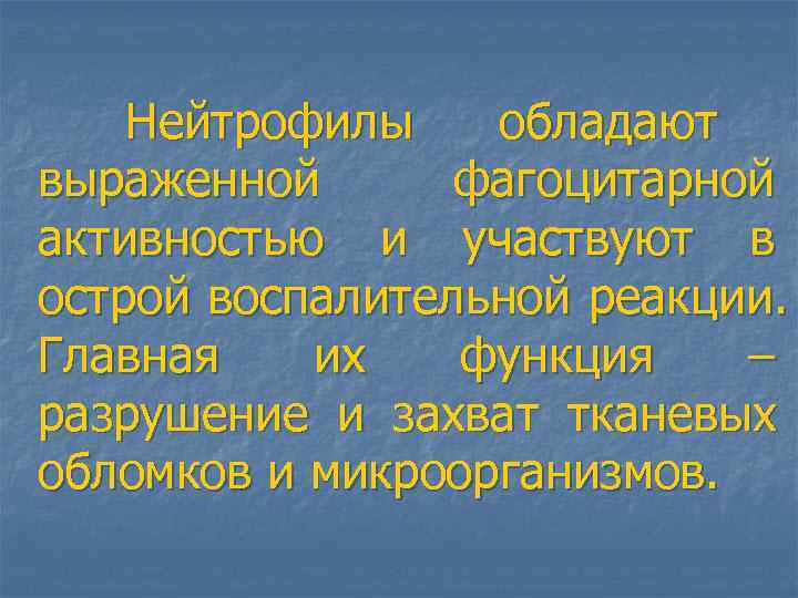  Нейтрофилы обладают выраженной фагоцитарной активностью и участвуют в острой воспалительной реакции. Главная их