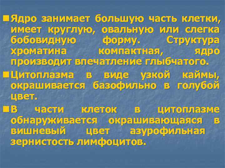 n Ядро занимает большую часть клетки, имеет круглую, овальную или слегка бобовидную форму. Структура